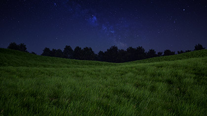 Prairie Grass Field Night