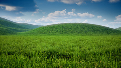 Prairie Grass Hill