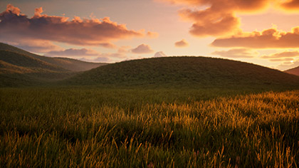 Prairie Grass Hill Sunset