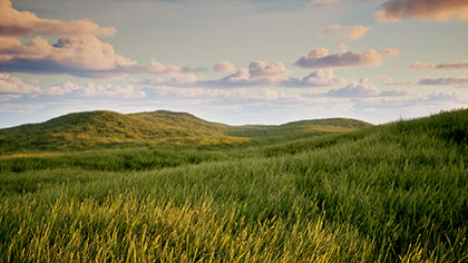 Prairie Grass Wind