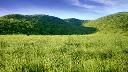 Prairie Rolling Hills