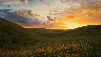 Prairie Sunset Flight