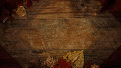 Rustic Wood Autumn Leaves Dark