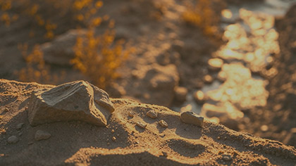 Spring Creek Desert Ledge