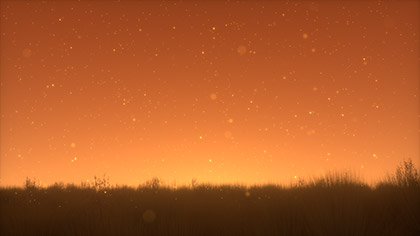 Summer Fireflies Golden Field