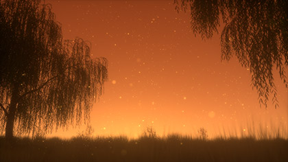 Summer Fireflies Golden Willow