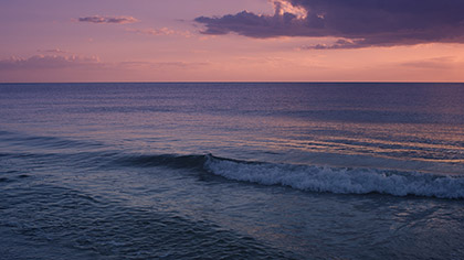 Sunset Surf Pink Sky