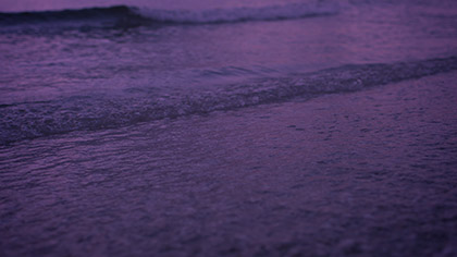 Sunset Surf Purple Pink