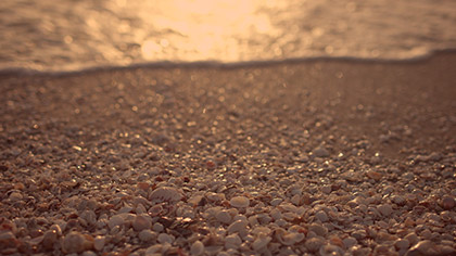 Sunset Surf Shells