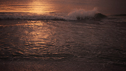 Sunset Surf Warm