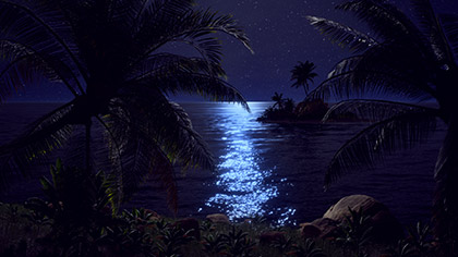 Tropical Close Palm Trees Night