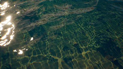Tropical Coral Floor