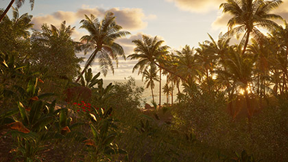 Tropical Hillside