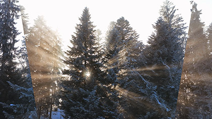 Winter Sunrise Warm Rays