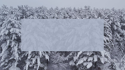 Winter Woods Drift Rectangle