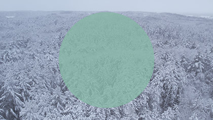 Winter Woods Reverse Aerial Circle