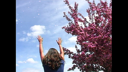 Spring Tree