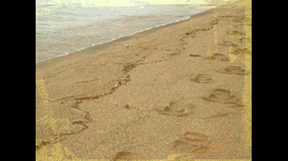 Sand Footprints