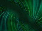 Flow Line Teal Green Slow