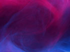 Hazer Fuchsia Ice