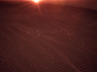 Lent Desert Sands Red