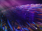 Polygon Angel Wing