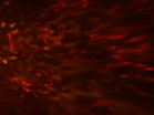 Prismatic Red Orange Blaze