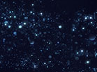 Snowglobe Ice Galaxy