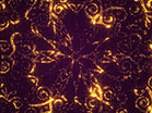 Sparkle Golden Pink