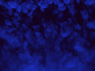 Vapor Falling Blue Slow