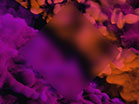 Vapor Pink Orange Diamond