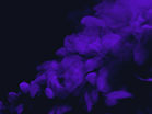 Vapor Purple Muted