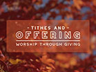 Fall Focus Offering