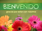 Flores Brillantes Bienvenido