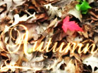 Autumn Countdown