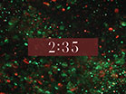 Christmas Glitter Countdown