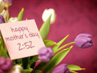 Mothers Day Tulip Countdown