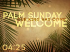 Palm Branches Countdown