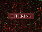 Christmas Glitter Offering