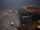 Manger Crown Of Thorns