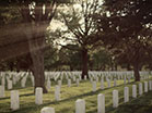 Military Cemetery Forest Rays