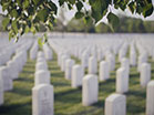 Military Cemetery Leaves Wind