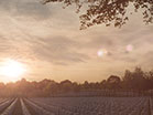 Military Cemetery Sunset