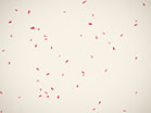 Mothers Day Falling Petals White
