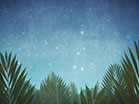Palm Sunday Epic Scrolling