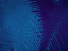 Palm Sunday Watercolors Blue Slow