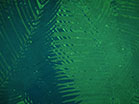 Palm Sunday Watercolors Green Slow