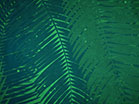 Palm Sunday Watercolors Green Zoom