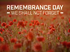 Remembrance Day Poppies