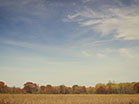 Fall Colors Blue Sky